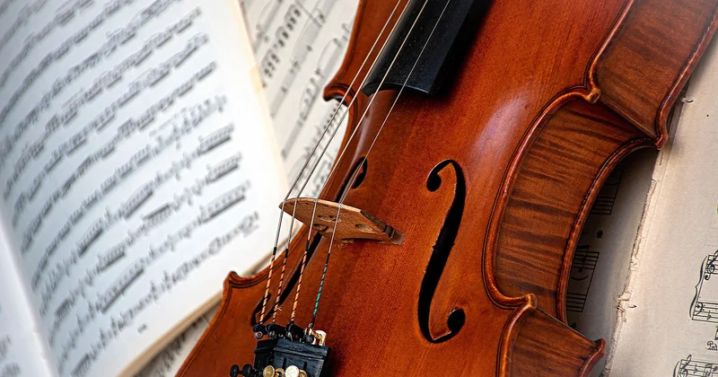 Taille du violon : le tableau que personne ne vous montre