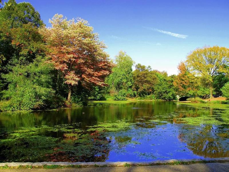 parc de prospection