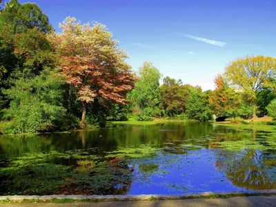 parc de prospection