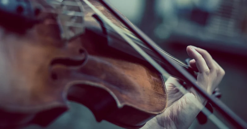 Violon débutant : combien faut-il vraiment dépenser ?